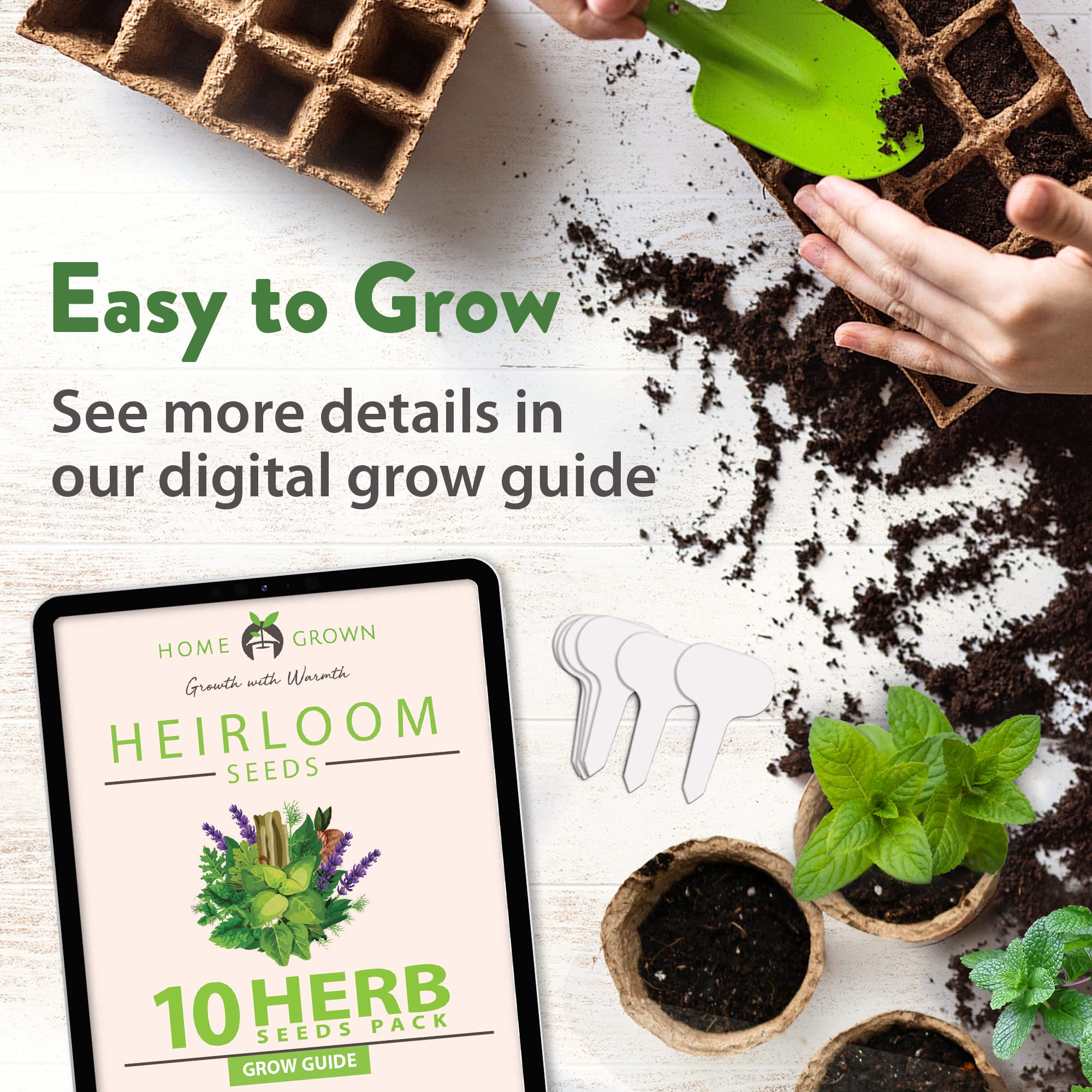 Home Grown 10 Culinary Herb Seeds Non-GMO, Heirloom Seeds - 3000+ Seeds for Planting for Outdoor or Indoor Planting - Image 6