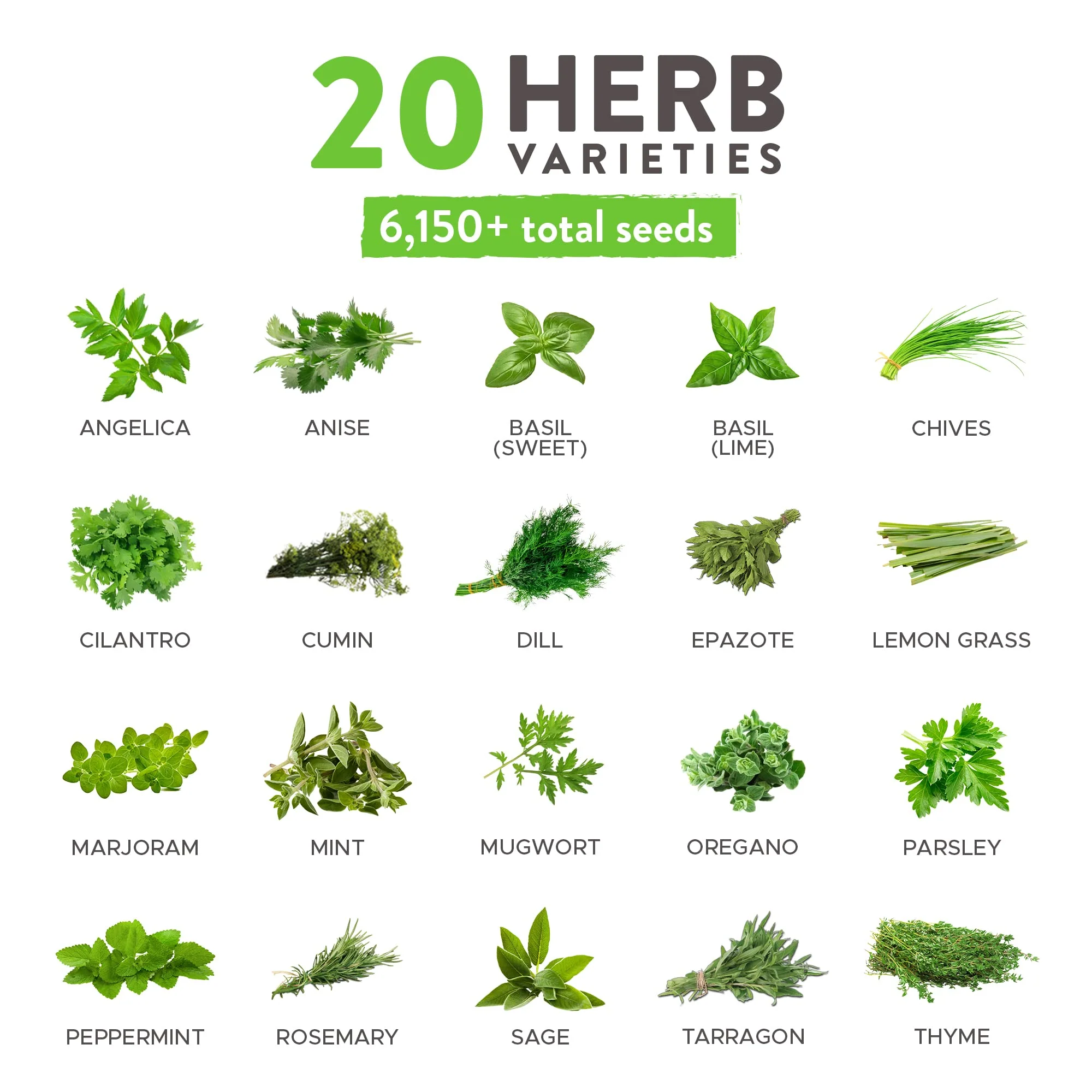 Home Grown Brand Heirloom Herb Seeds 20 Variety Pack - Image 2