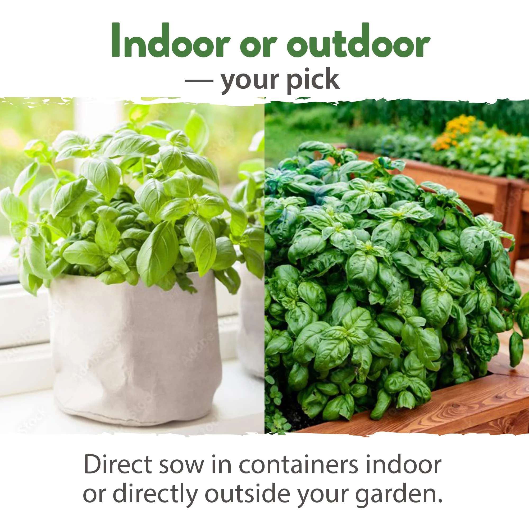 Home Grown Brand Heirloom Herb Seeds 20 Variety Pack - Image 8