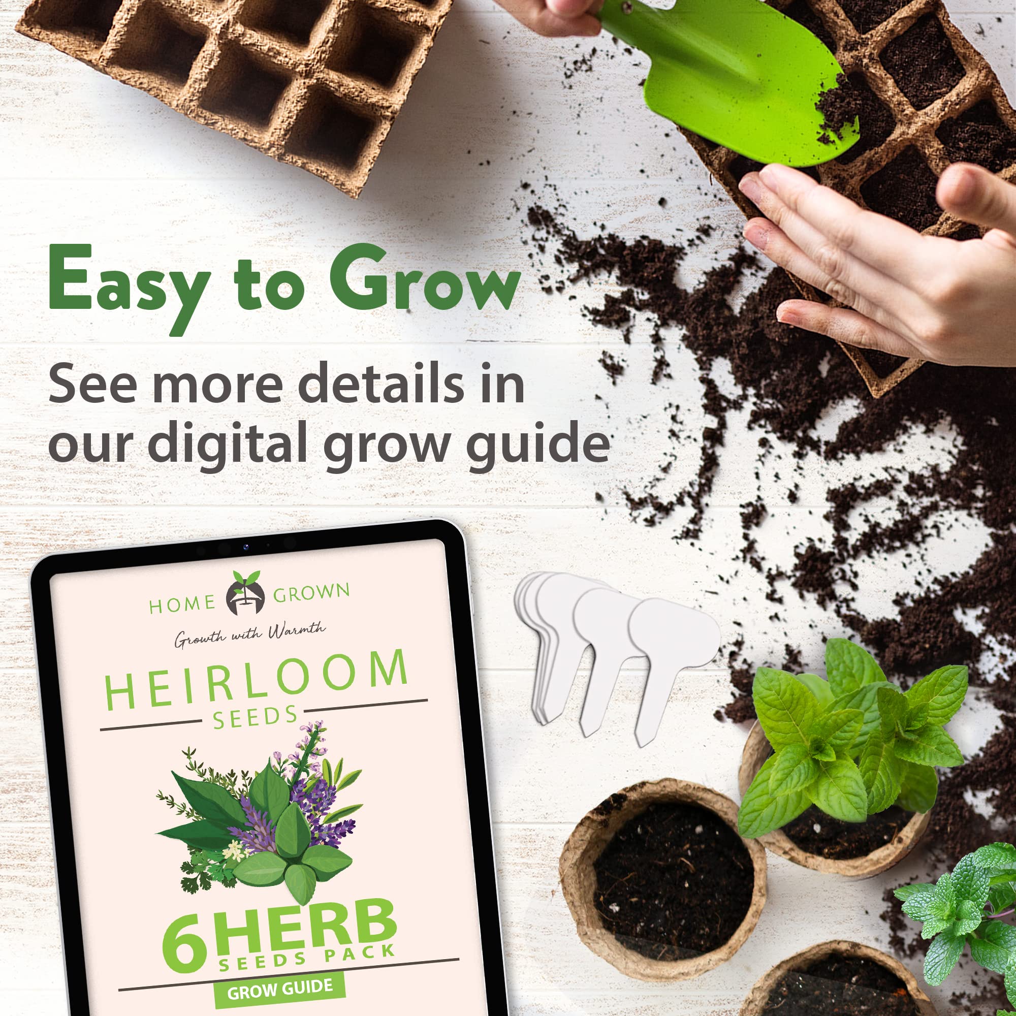 Home Grown Brand, Heirloom Herb Seeds - 6 Variety Pack - Image 7