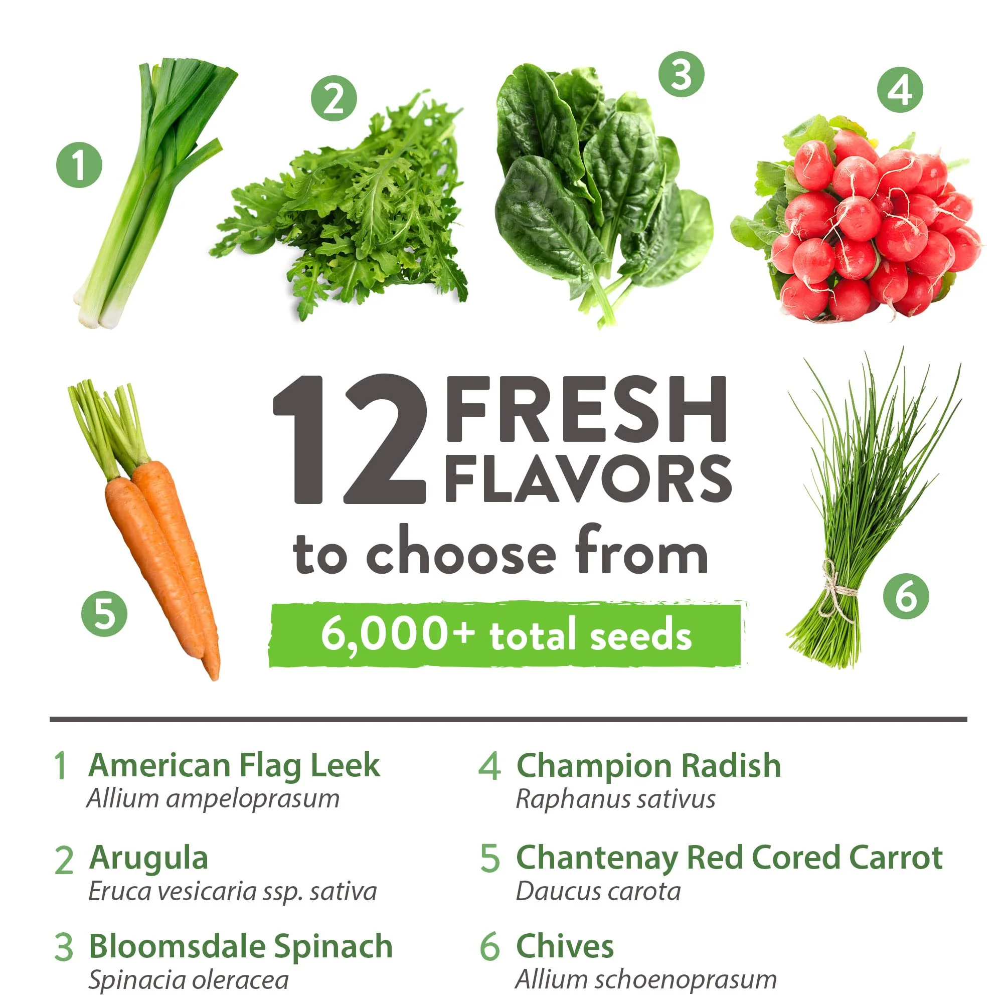Home Grown Brand, Heirloom Seeds, Spring Vegetables 12 Variety Pack - Image 2