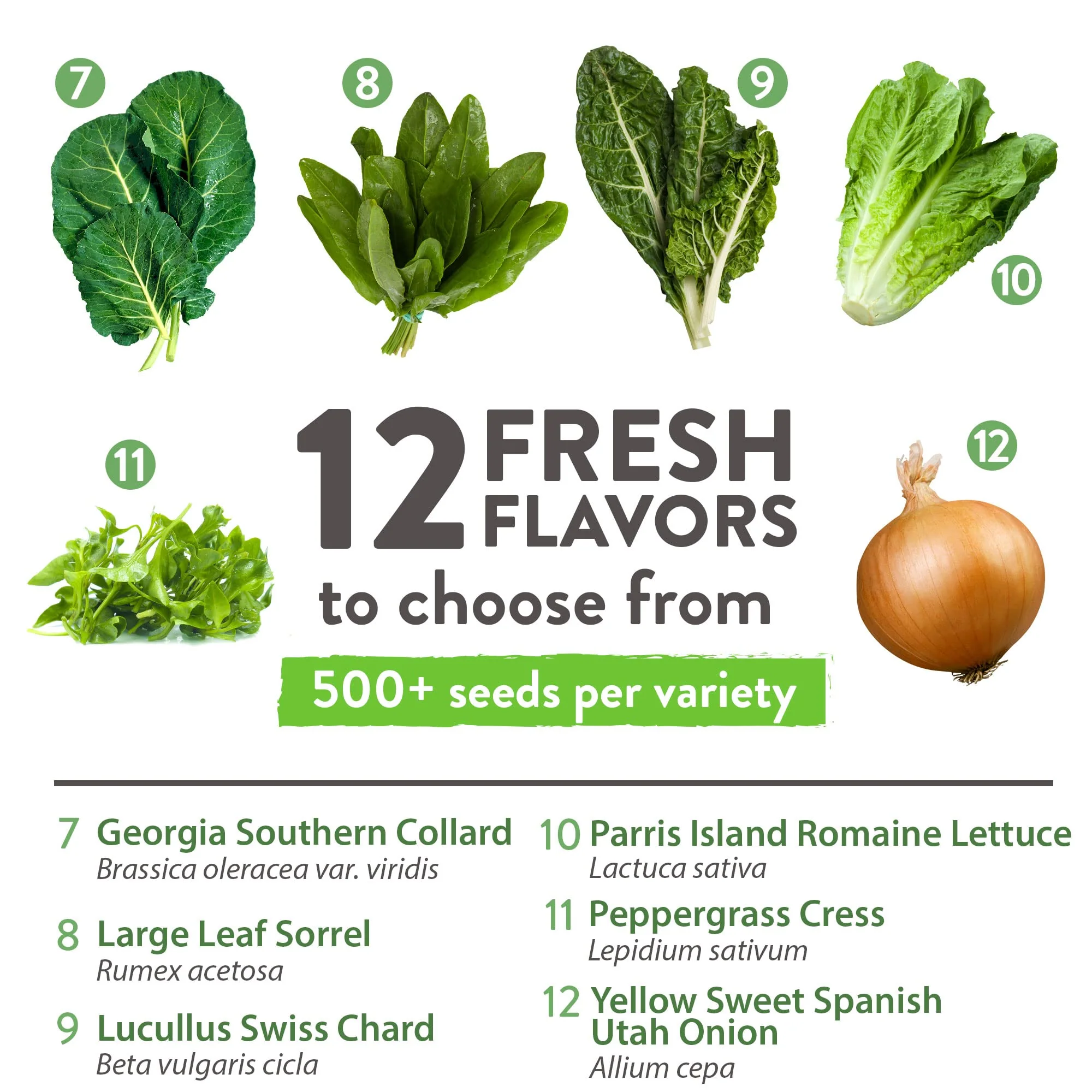Home Grown Brand, Heirloom Seeds, Spring Vegetables 12 Variety Pack - Image 3