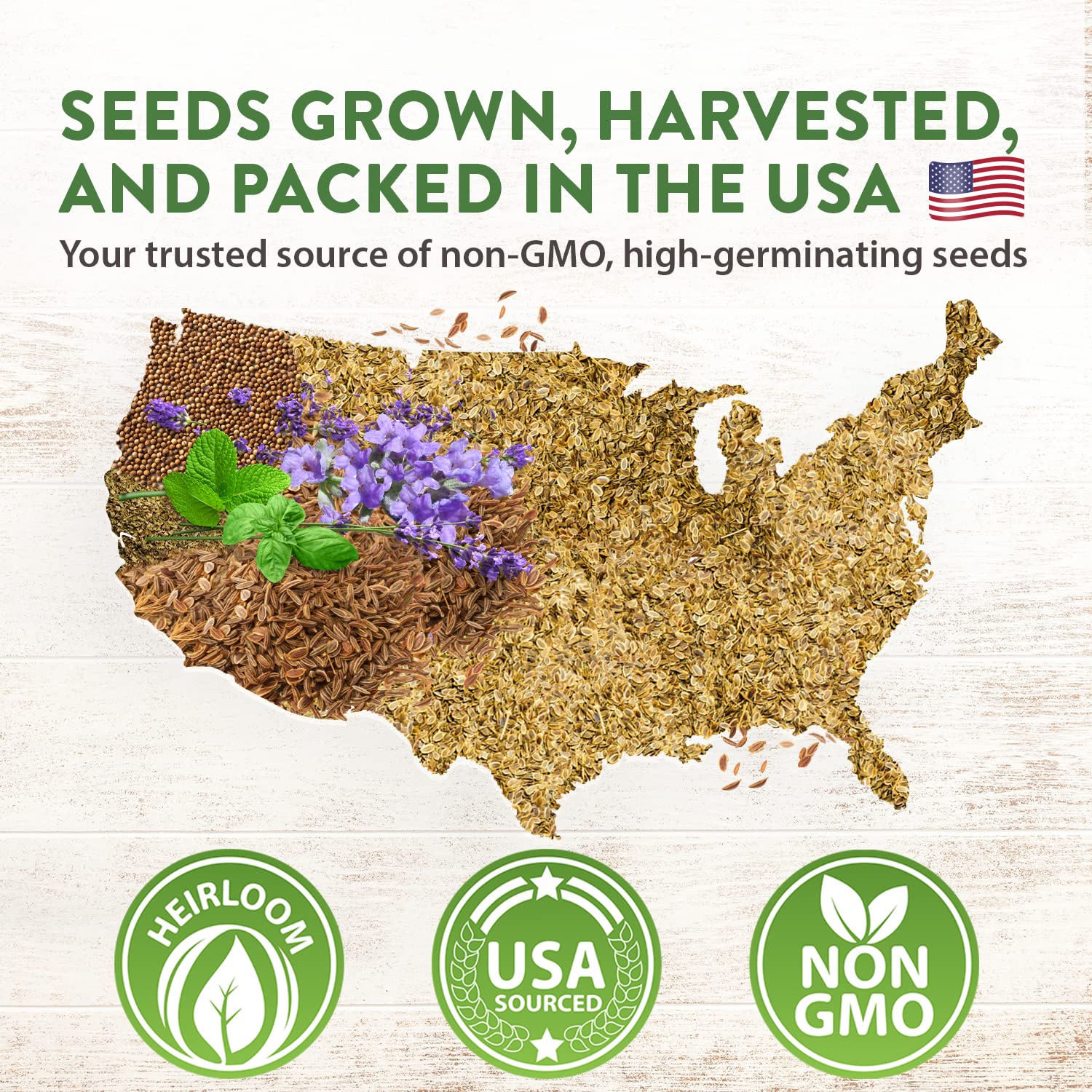 Home Grown Brand, Non-GMO, Heirloom Herbs (5 Varieties) - Image 7