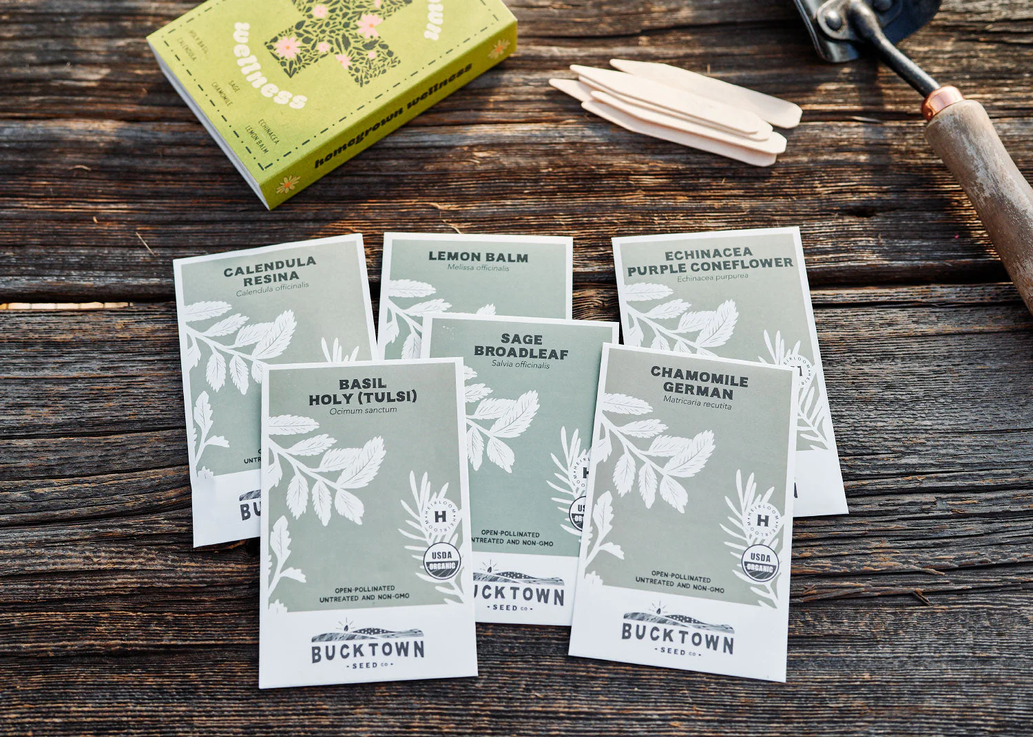Homegrown Wellness - Seed Collection - Image 4