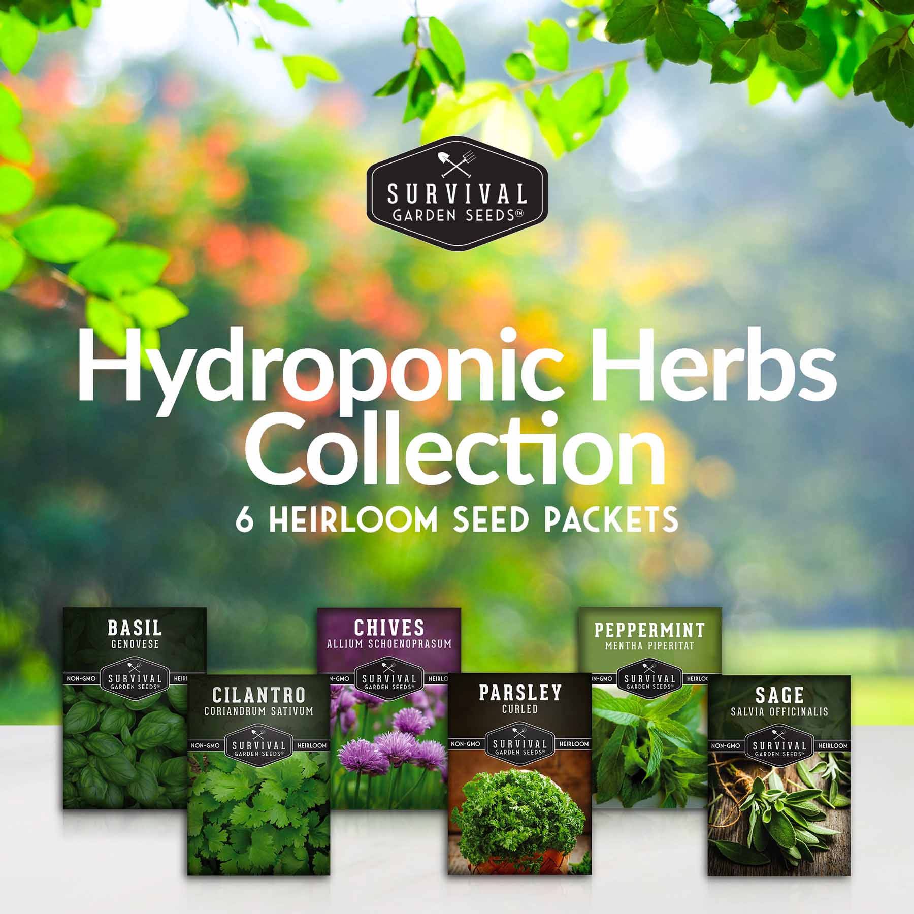 Hydroponic Herb Seed Collection - Image 2