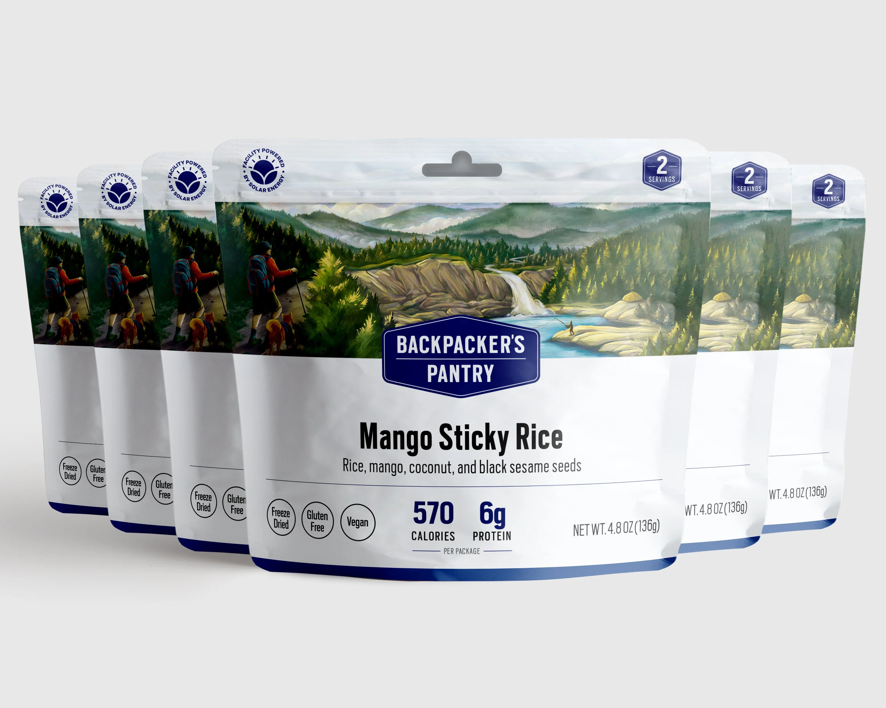 Mango Sticky Rice - Image 4