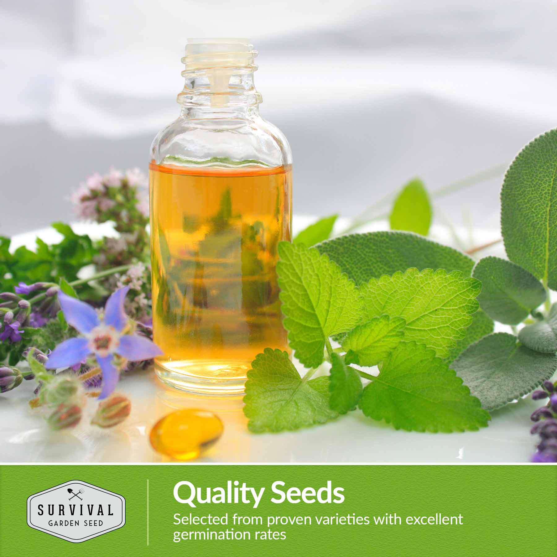 Medicinal Herb Collection - 18 Medicinal Herbs - Image 4