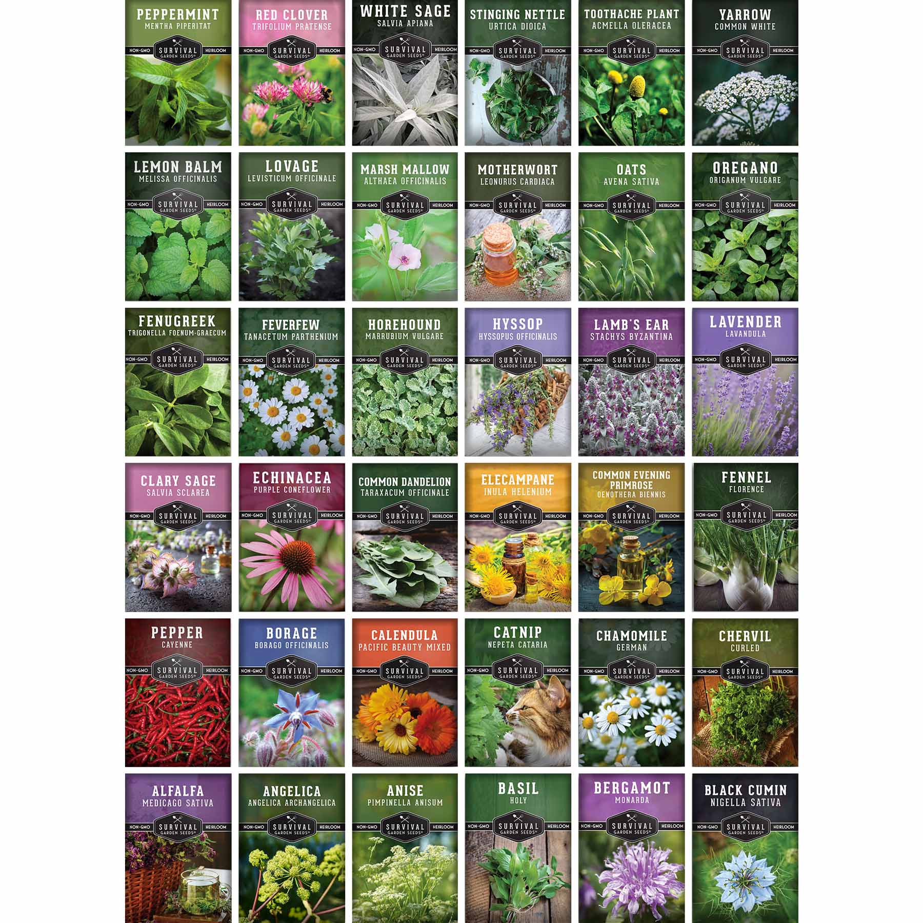 Medicinal Herb Garden - 36 Heirloom Seed Varieties for a Wellness Garden - Image 2