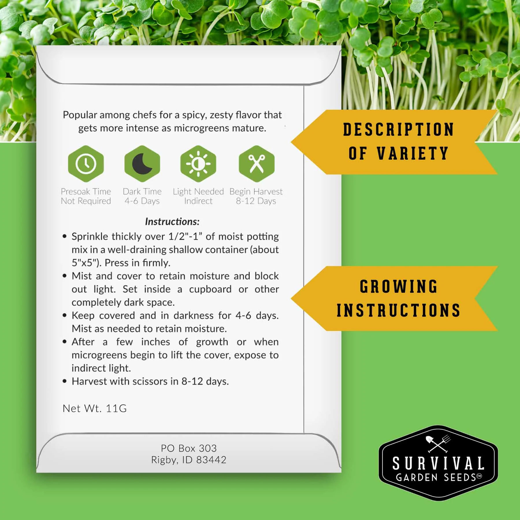 Microgreens 10 Variety Seed Kit - Image 3