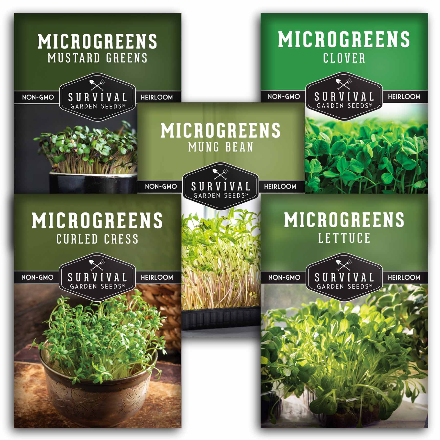 Microgreens Seeds 5 Pack - Image 2