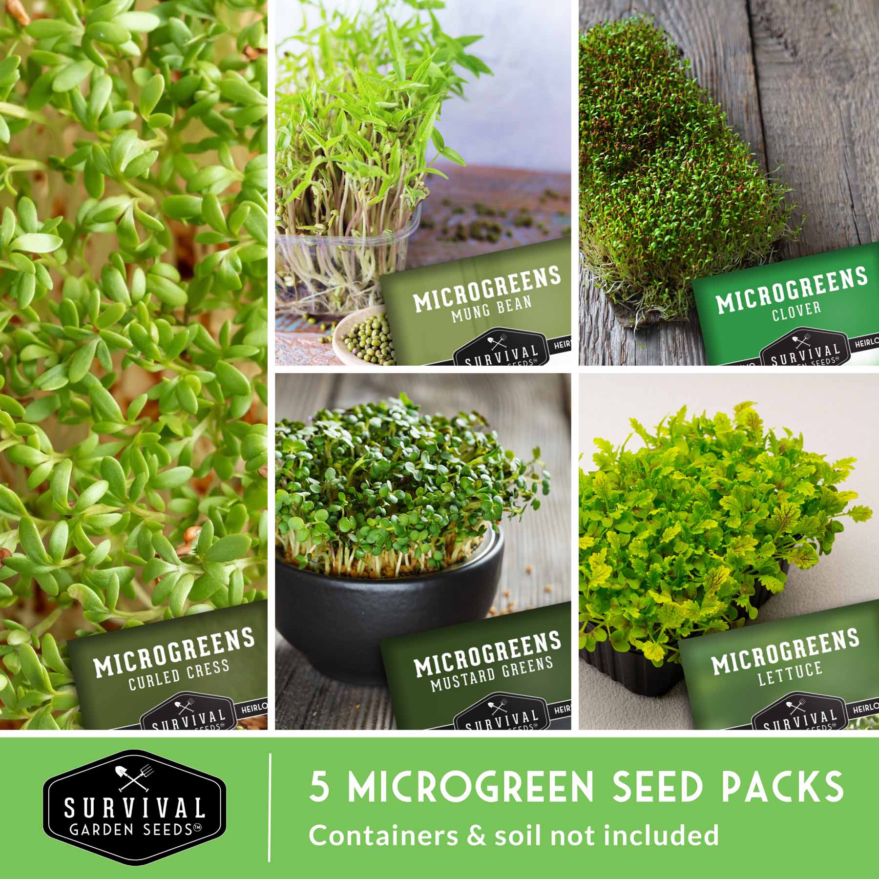 Microgreens Seeds 5 Pack - Image 3