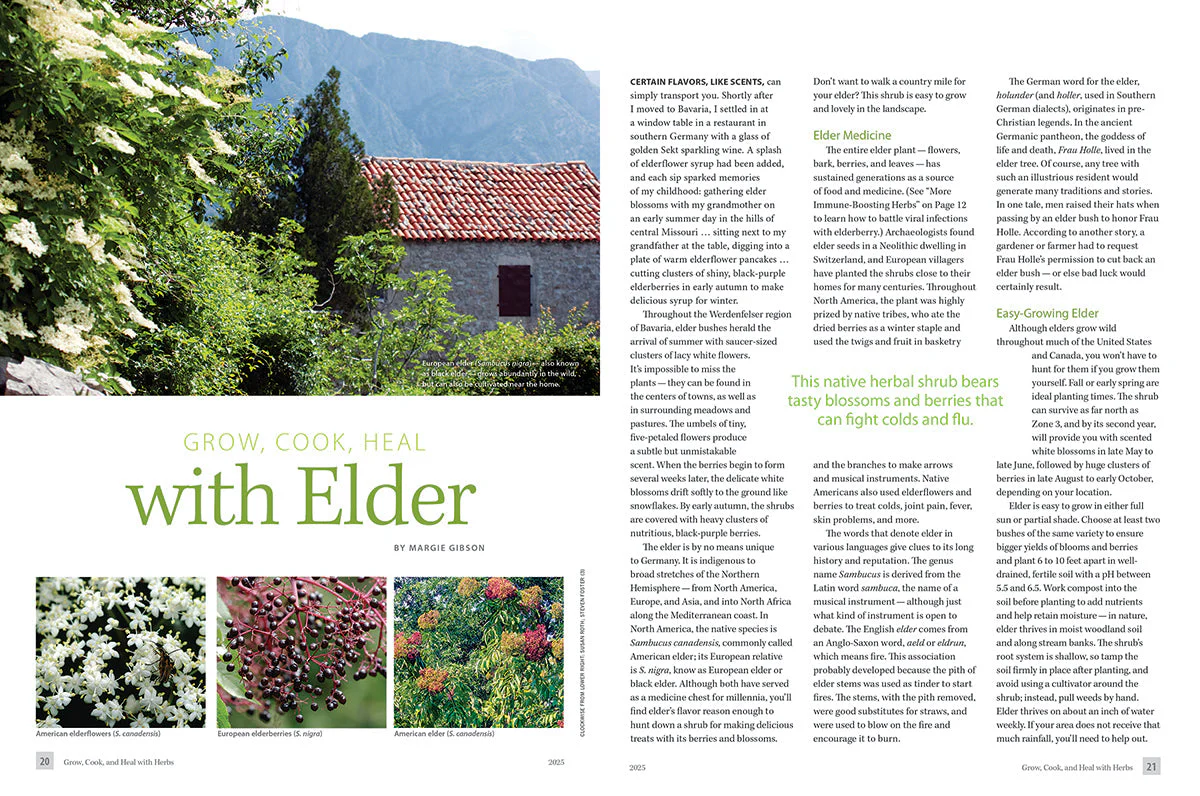 Mother Earth Living — Grow, Cook, & Heal with Herbs - Image 2