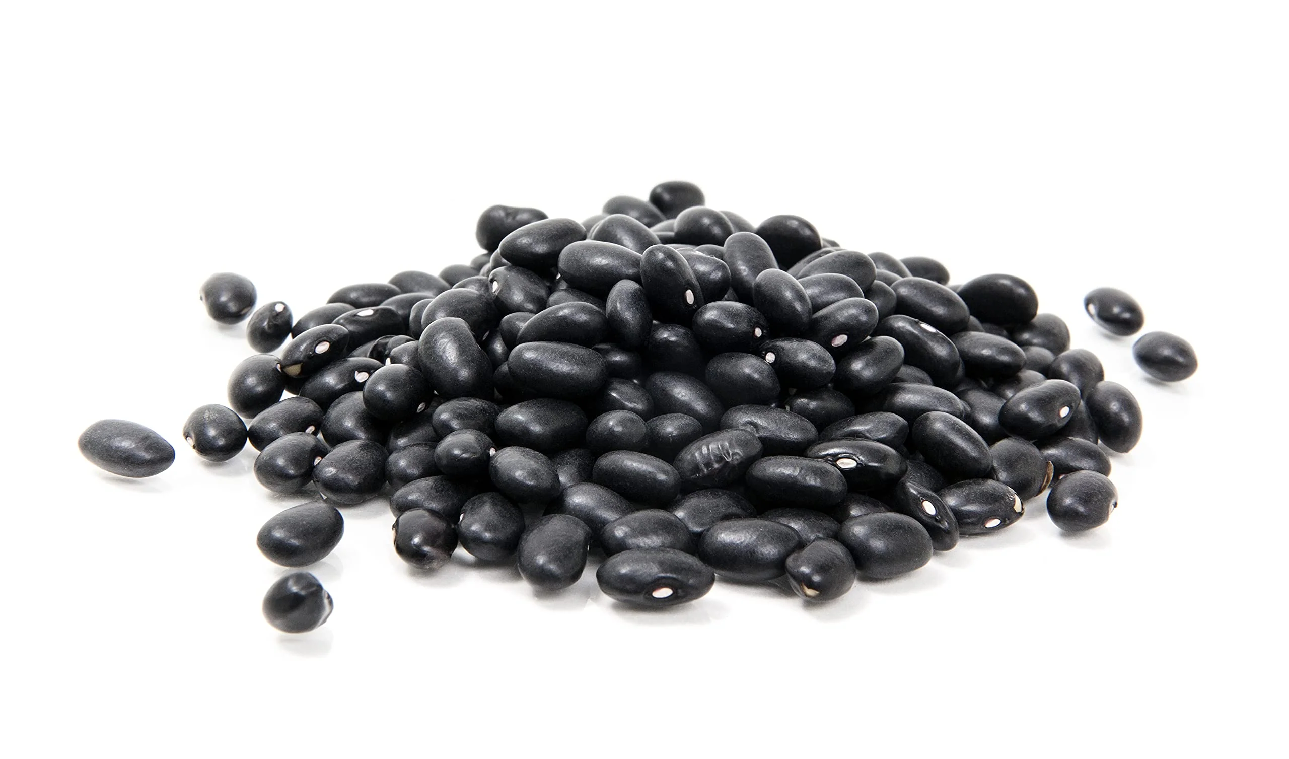 Mountain High Organics - Certified Organic Black Turtle Beans 6 Gallon/40lb Bucket - Image 3
