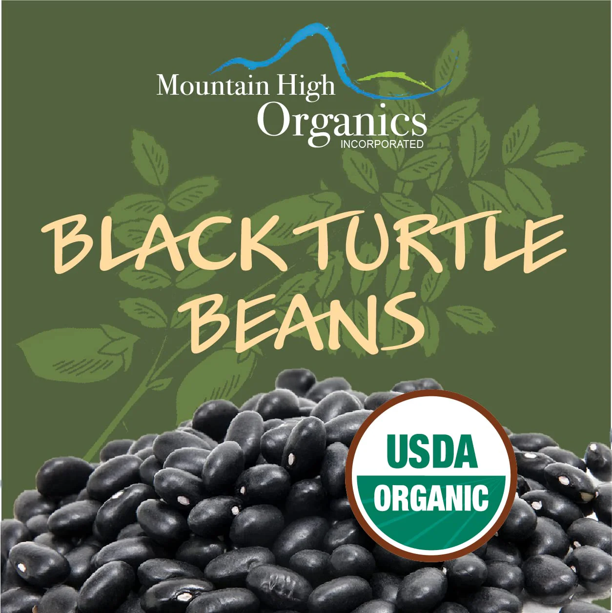 Mountain High Organics - Certified Organic Black Turtle Beans 6 Gallon/40lb Bucket - Image 4