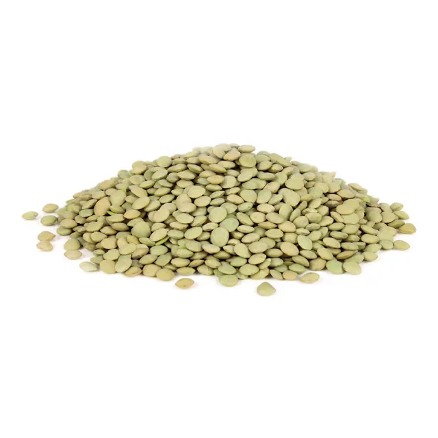 Mountain High Organics - Certified Organic Green Lentils 6 Gallon/40lb Bucket - Image 3