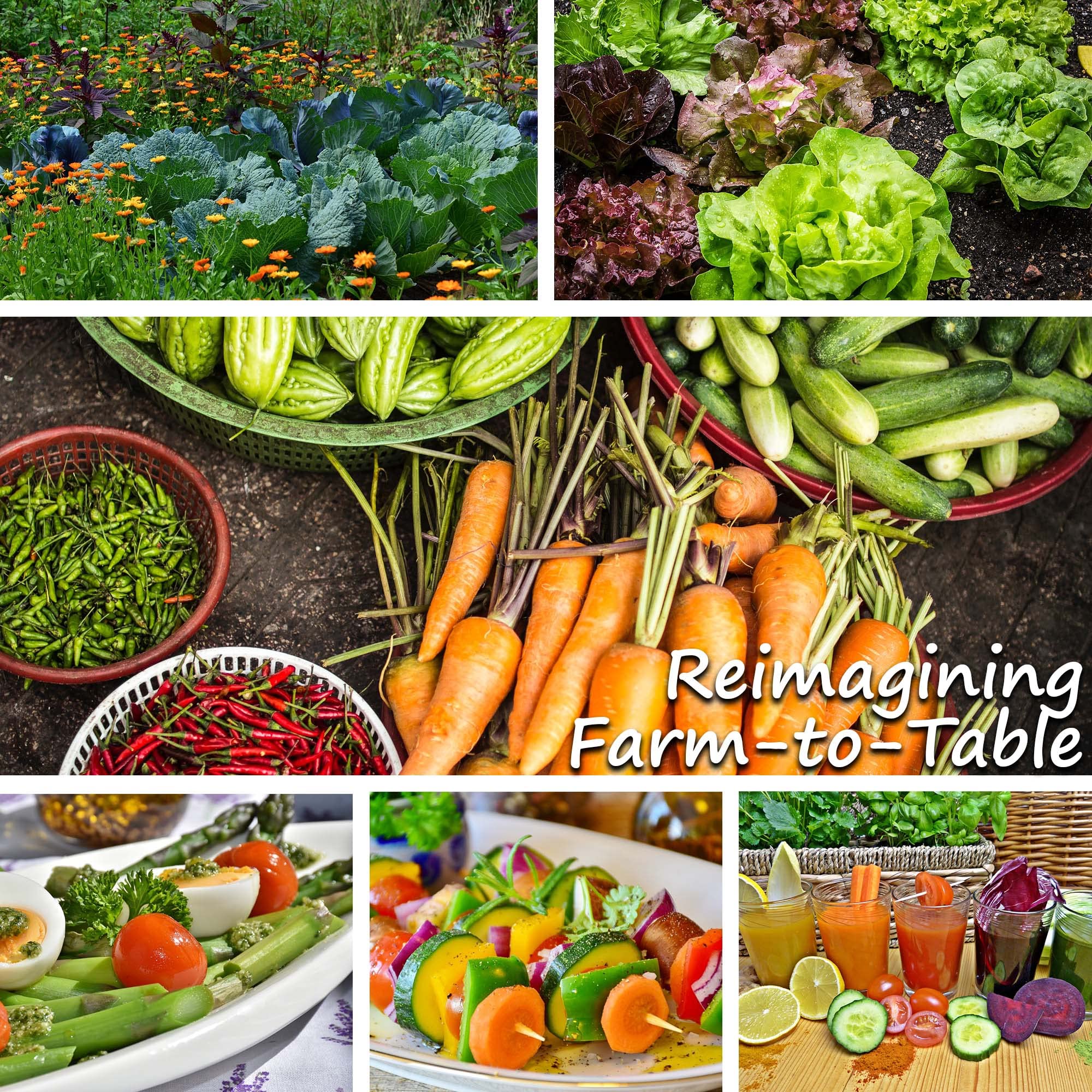 Mountain Valley Seed Company - Vegetable Garden Non-GMO 50,000+ Seeds (16 Varieties) - Image 6