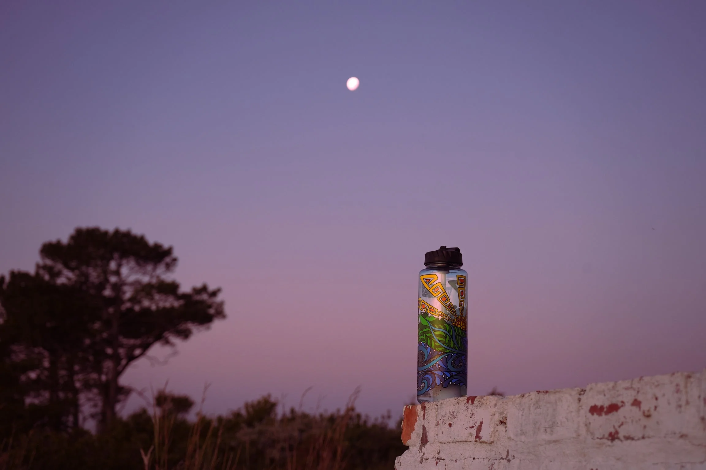 Nalgene OG Inland Ocean Coalition | 32 & 48oz - Image 24