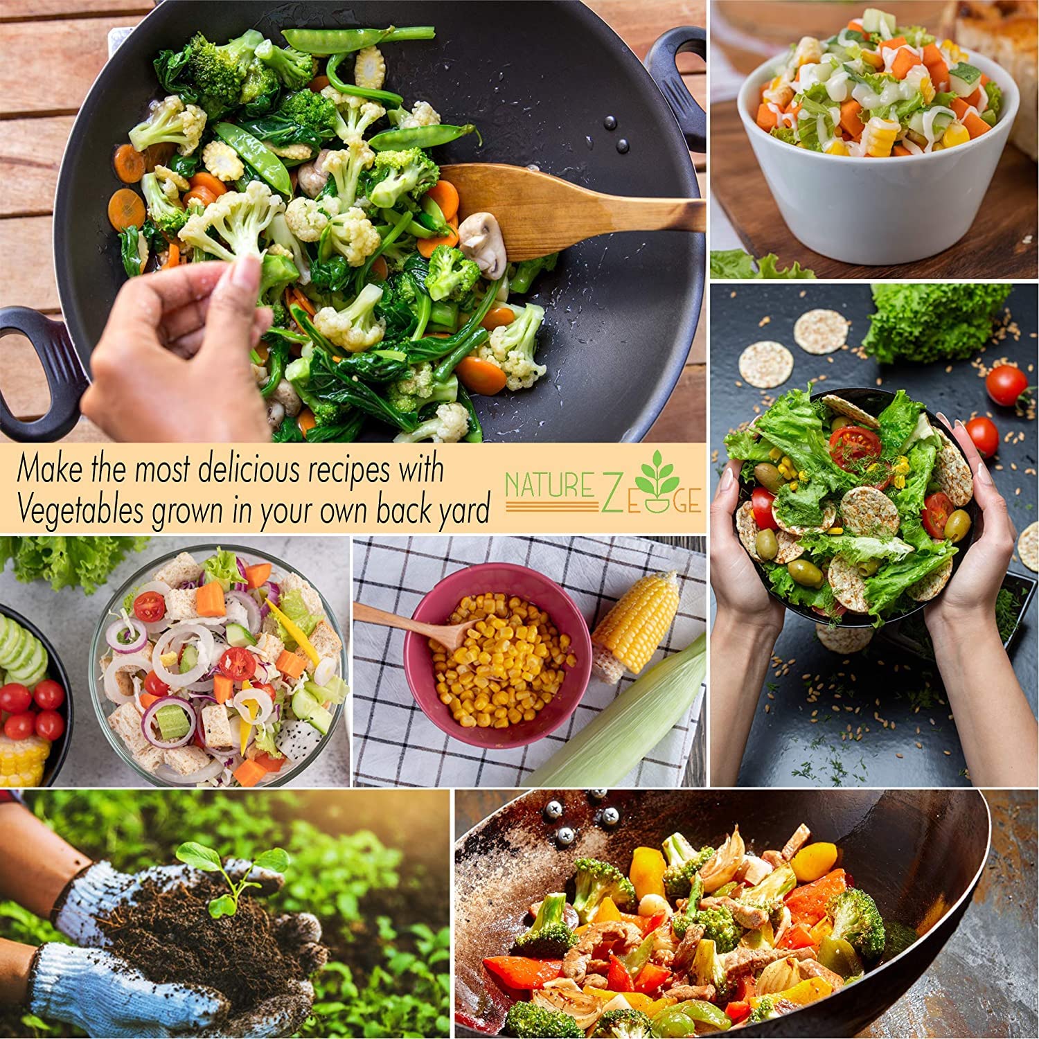 NatureZ Edge - Vegetable and Herb Seeds - 30 Varieties - Image 3