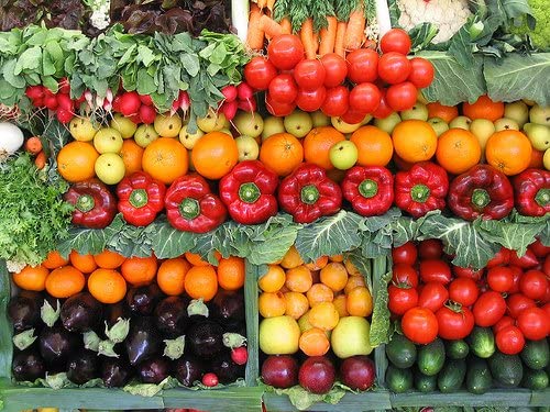 Open Seed Vault Survival Garden Non-GMO Vegetable Garden Seeds - 32 Varieties - Image 5