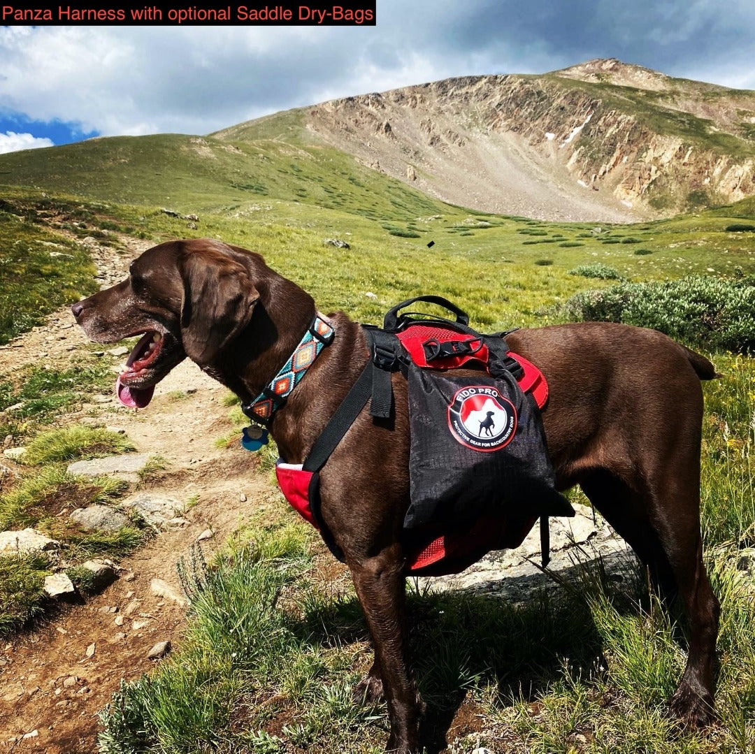 Panza Harness V2 with Deployable Emergency Dog Rescue Sling - Image 6