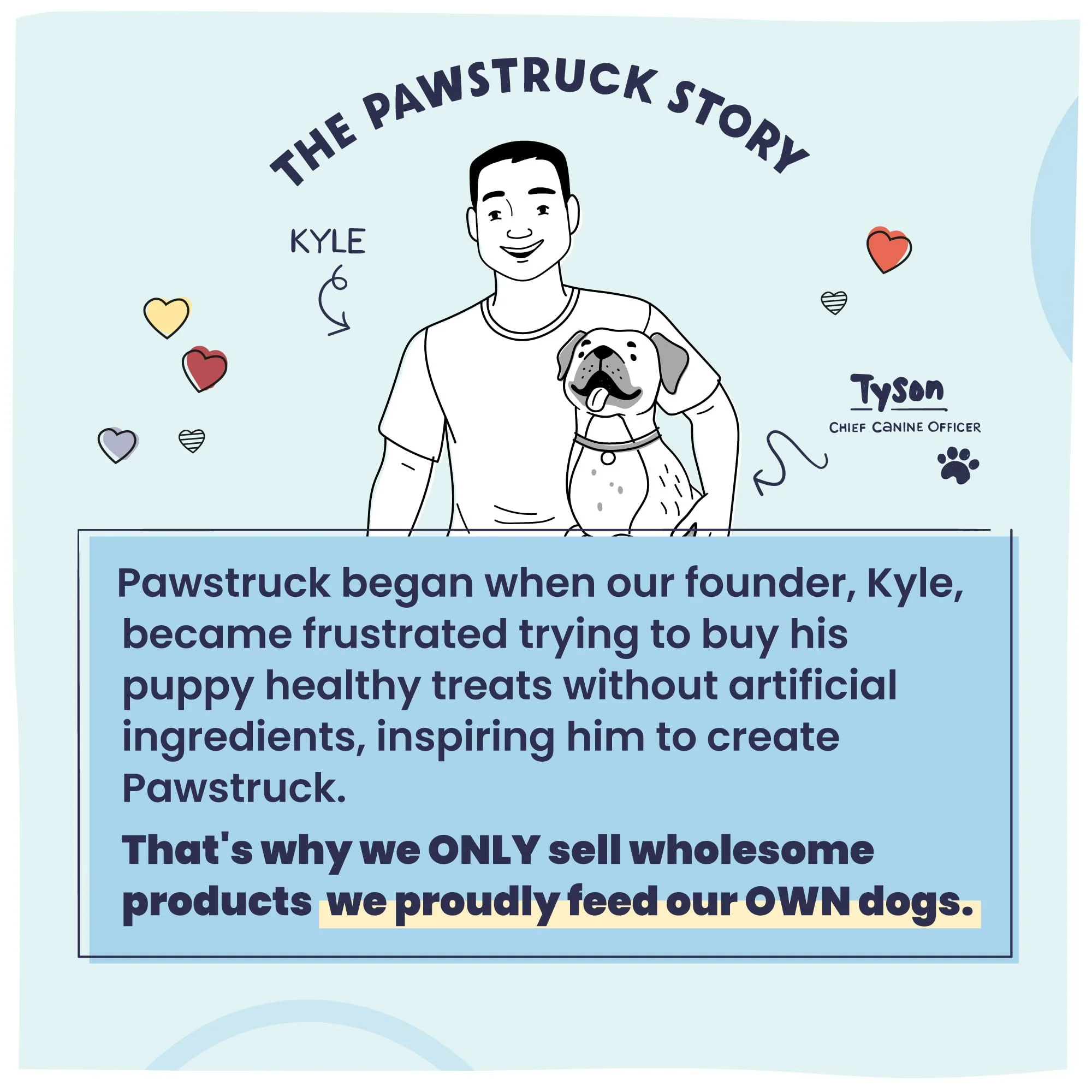 Pawstruck - Air Dried Premium Dog Food with Real Beef - 2lb Bag - Image 9