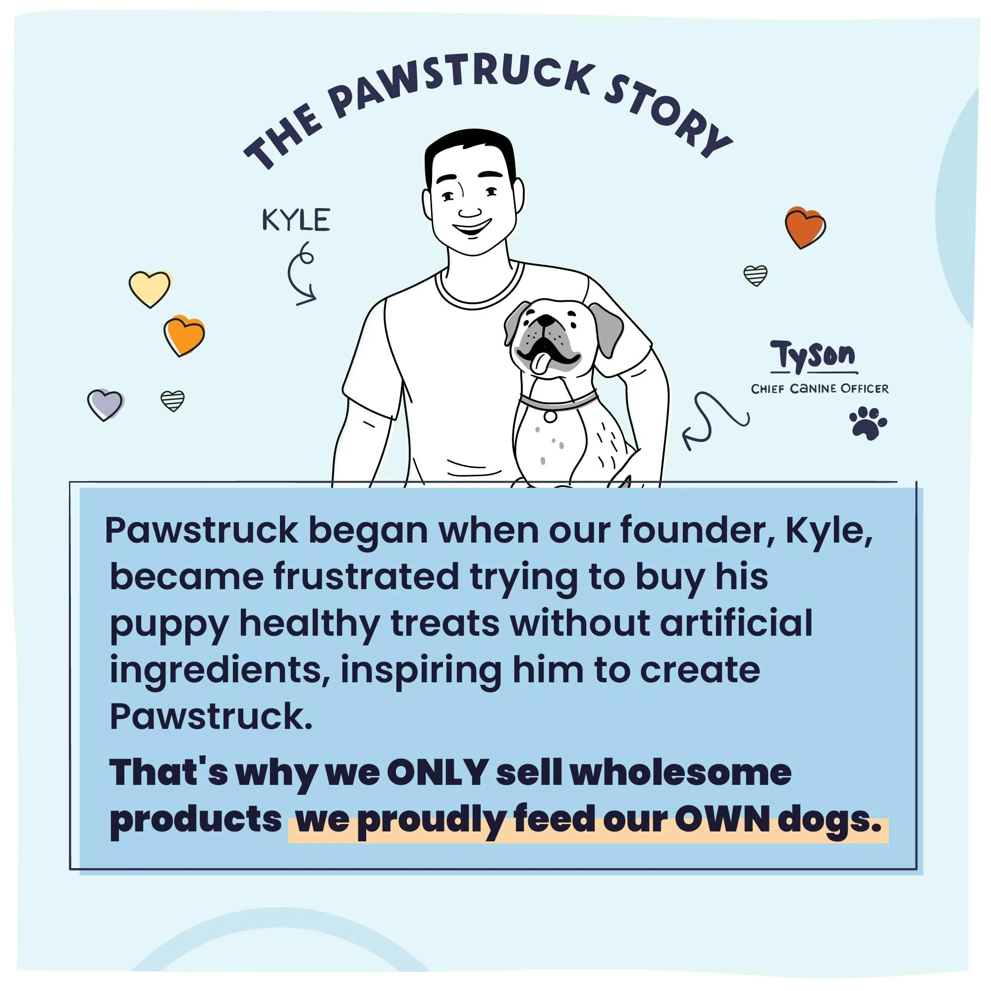 Pawstruck - Air Dried Premium Dog Food with Real Chicken - 2lb Bag - Image 9