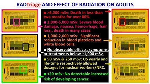 RADTriage - Radiation Detector - Image 3
