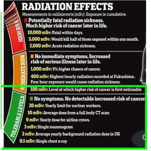 RADTriage - Radiation Detector - Image 7