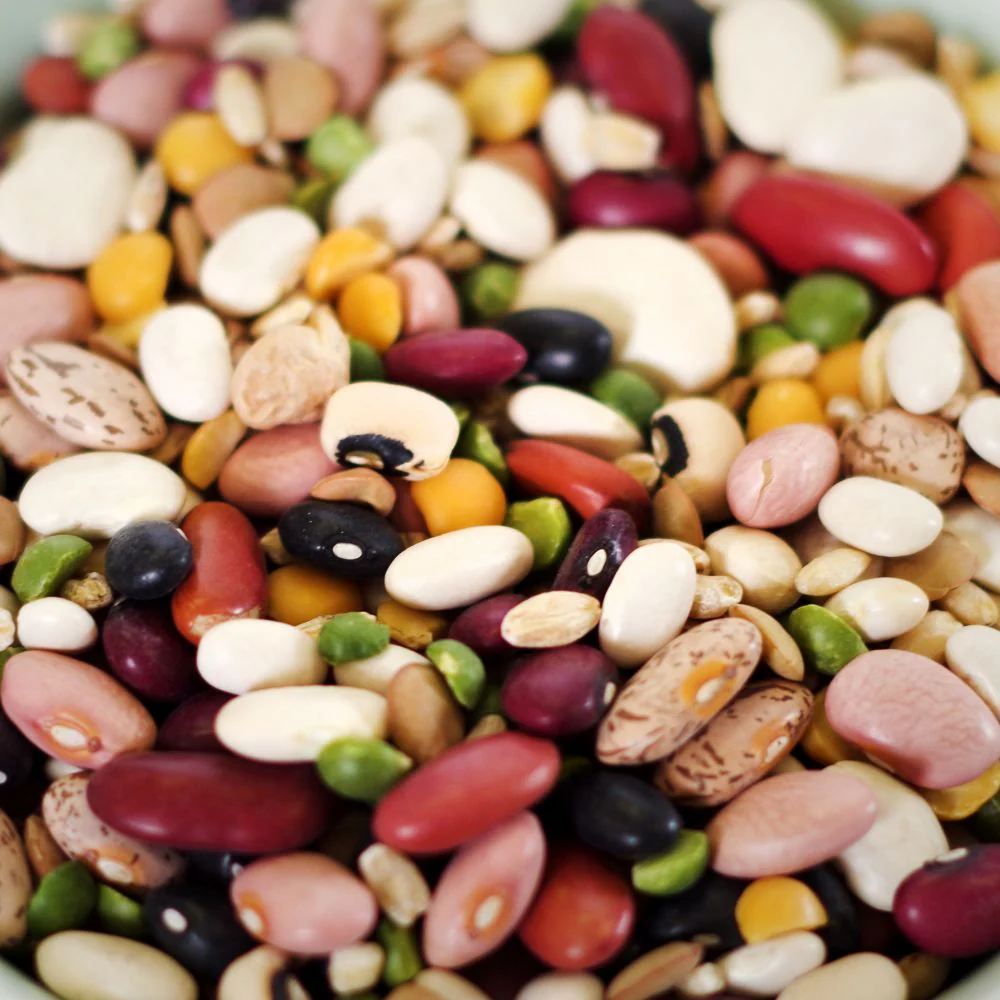 Rainy Day Foods 16 Bean Mix #10 Cans - 6 Pack - Image 3