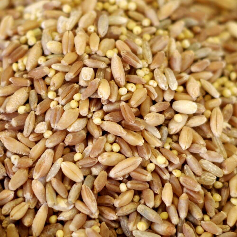 Rainy Day Foods 7 Grain Mix 5 Gallon 35 lb. Super Pail - 278 Servings - Image 3