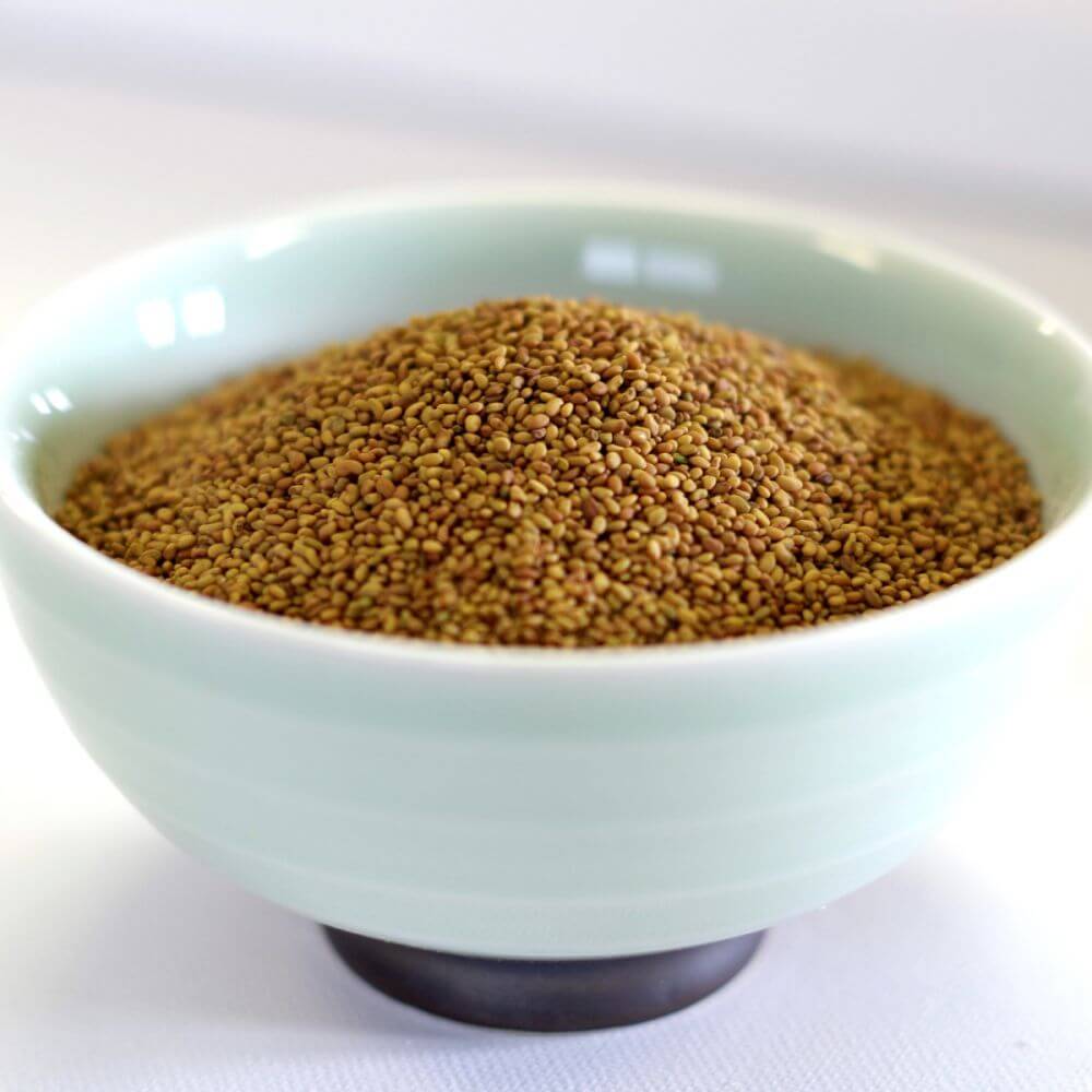 Rainy Day Foods Alfalfa Seed 1.5 lb. Mylar Bag - 227 Servings - Image 3