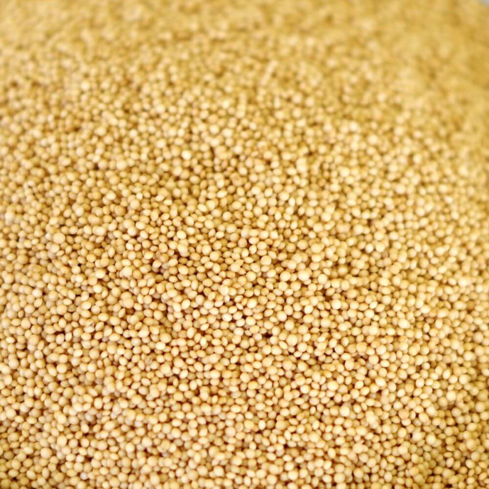 Rainy Day Foods Non-GMO Amaranth Natural 88 oz. #10 Can - 26 Servings - Image 3
