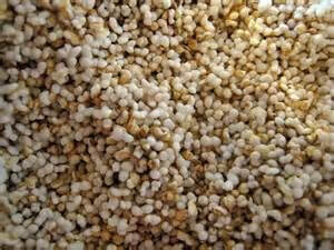 Rainy Day Foods Non-GMO Amaranth Natural 88 oz. #10 Can - 26 Servings - Image 4