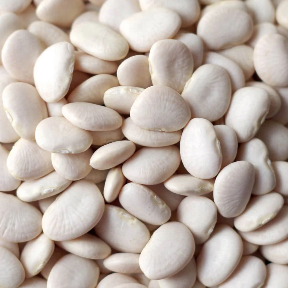 Rainy Day Foods Baby Lima Beans 5 Gallon 35 lb. Super Pail - 158 Servings - Image 3