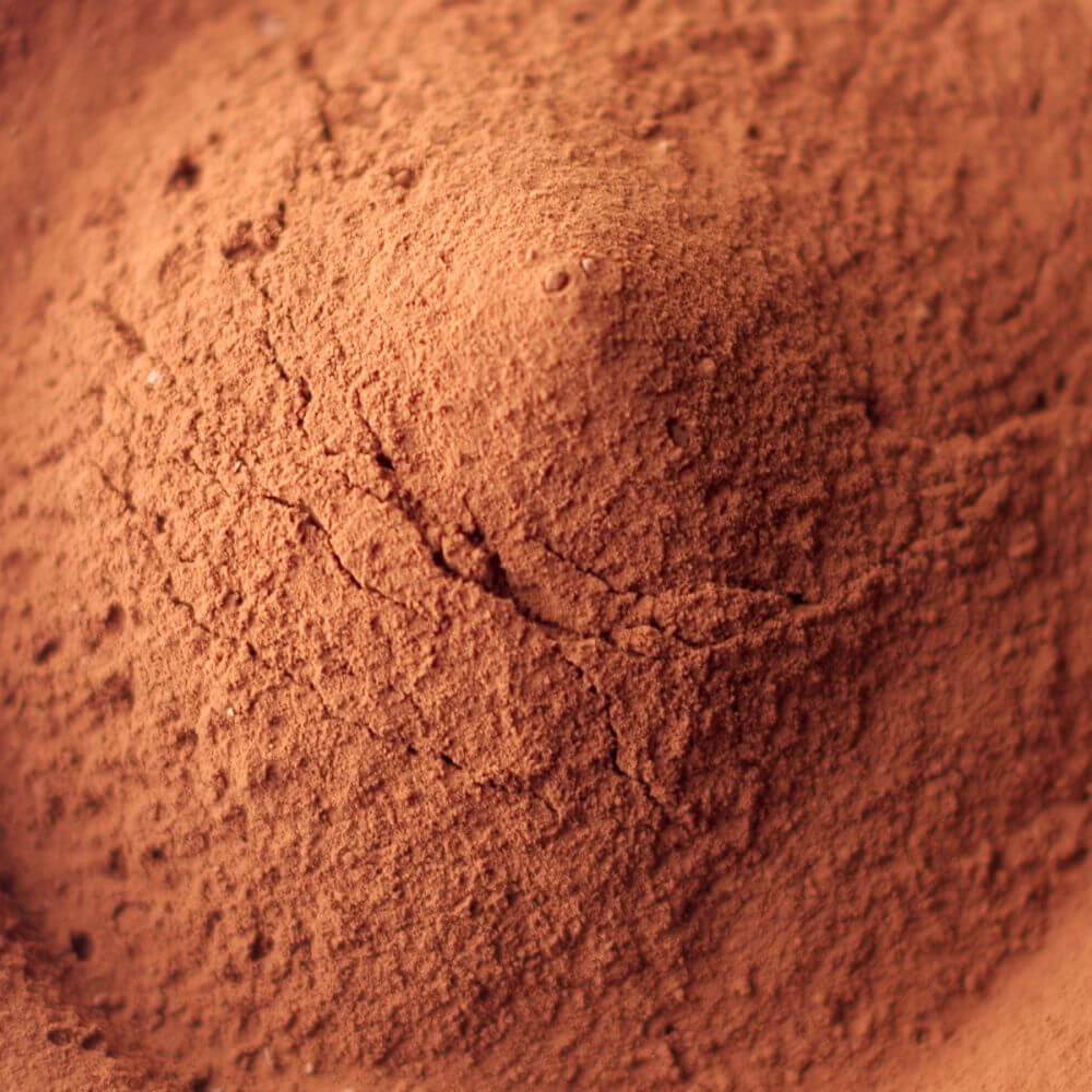 Rainy Day Foods Baking Cocoa 14 oz. #2.5 Can - 79 Servings - Image 2