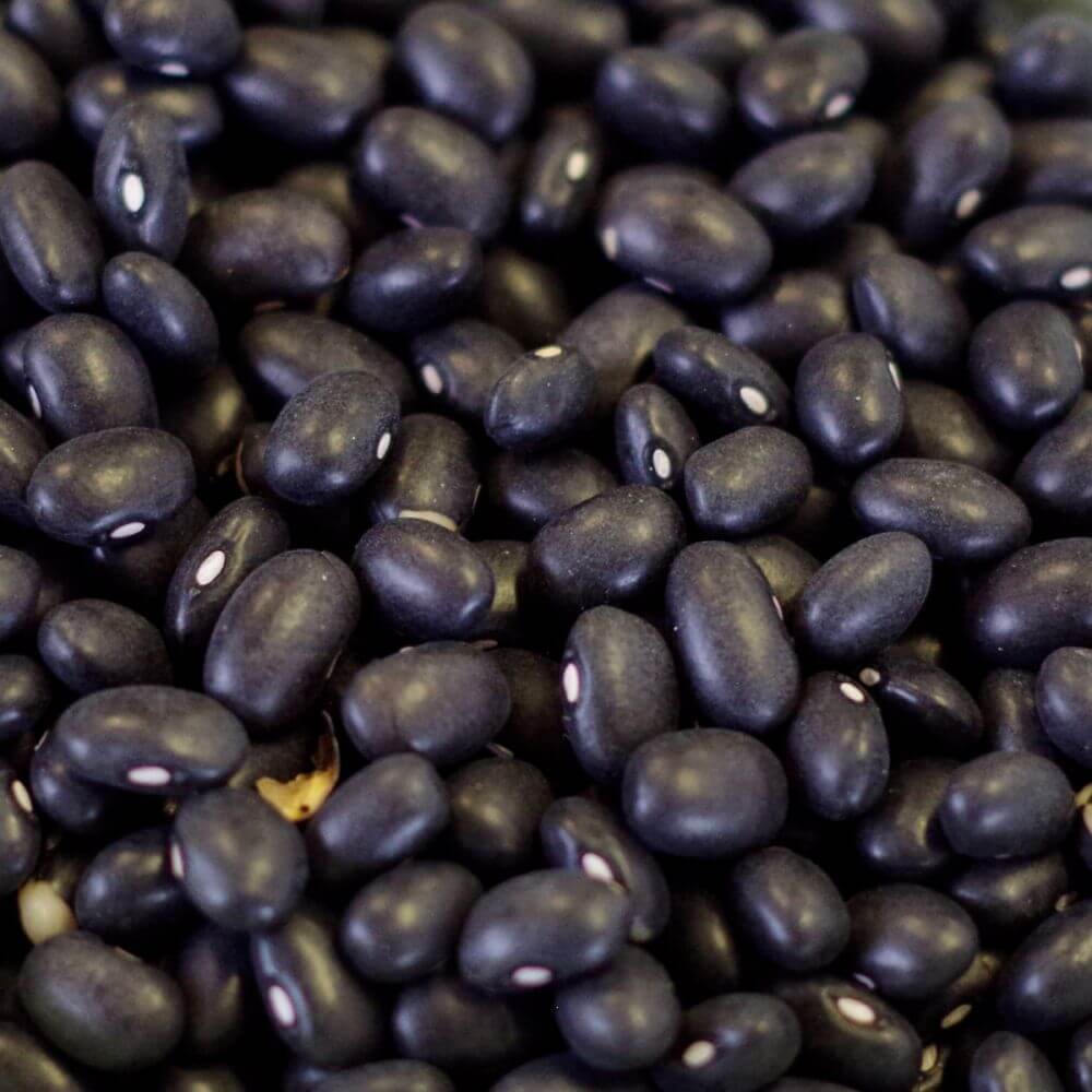 Rainy Day Foods Black Turtle Beans 85 oz. #10 Can - 27 Servings - Image 2