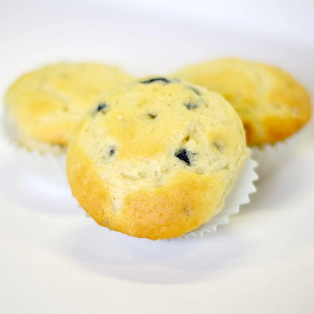 Rainy Day Foods Blueberry Muffin Mix 5 lb. Mylar Bag - 61 Servings - Image 2