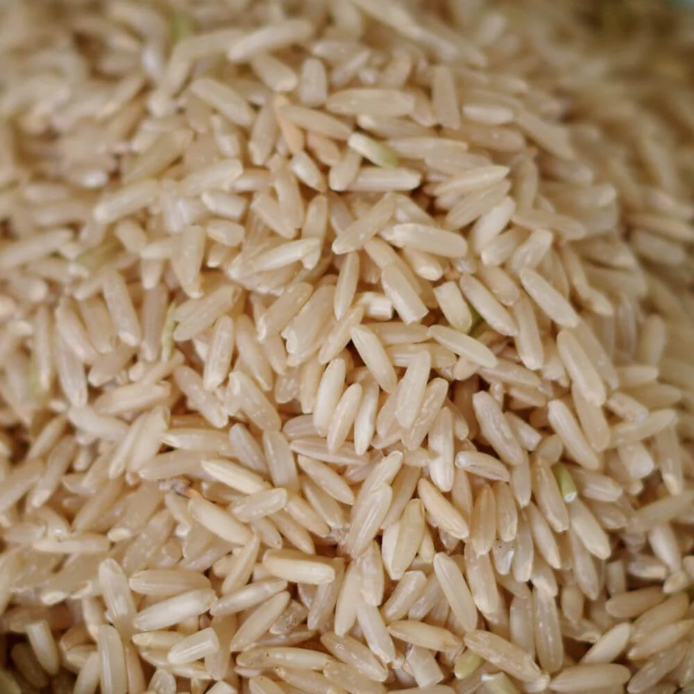 Rainy Day Foods Non-GMO Brown Rice Long 84 oz. #10 Can - 53 Servings - Image 3