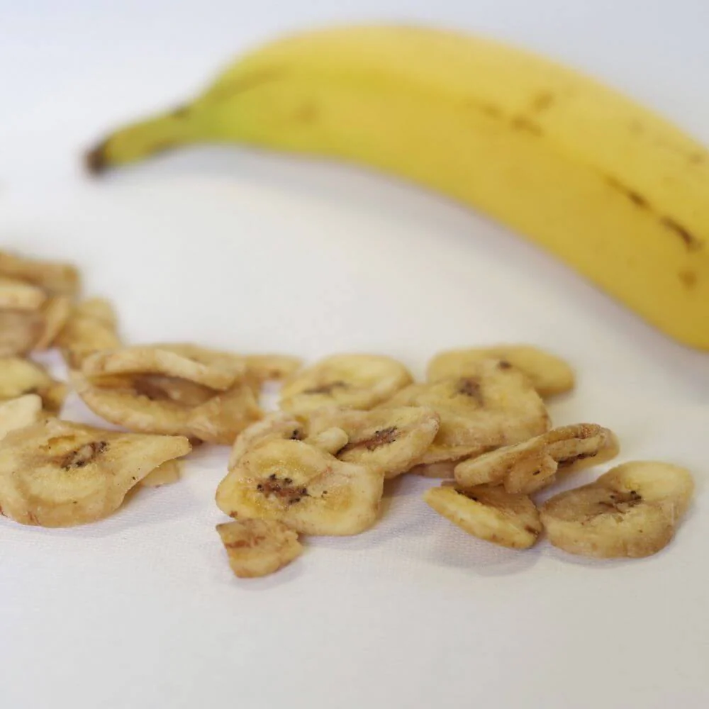 Rainy Day Foods Dehydrated Honey-Coated Banana Slices #10 Cans - 6 Pack - Image 2