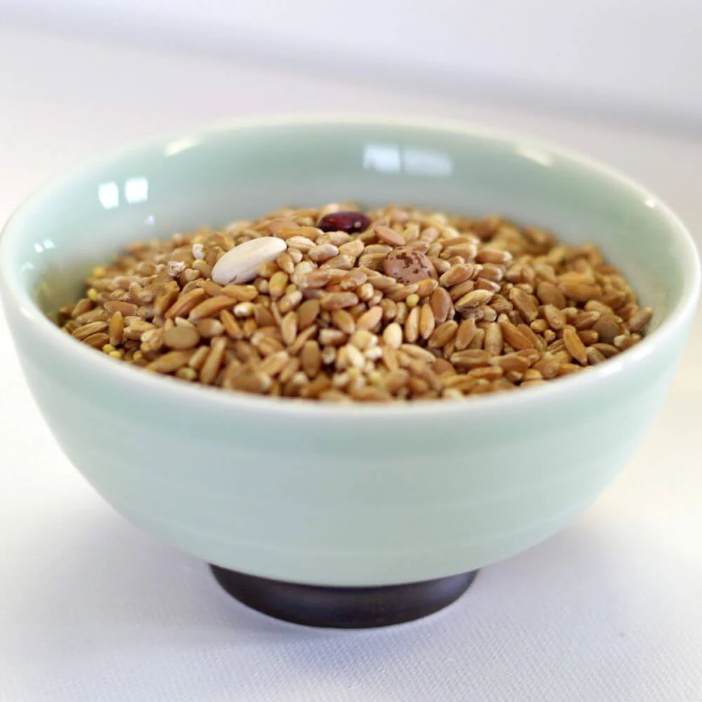 Rainy Day Foods Ezekiel Mix 88 oz. #10 Can - 44 Servings - Image 3