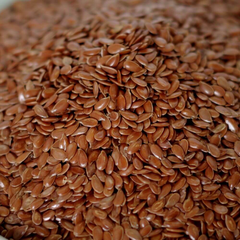 Rainy Day Foods Flax Brown 5 lb. Mylar Bag - 227 Servings - Image 2