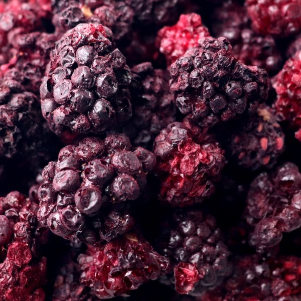 Rainy Day Foods - Freeze Dried Blackberries-whole #2.5 cans - 6 Pack - Image 2