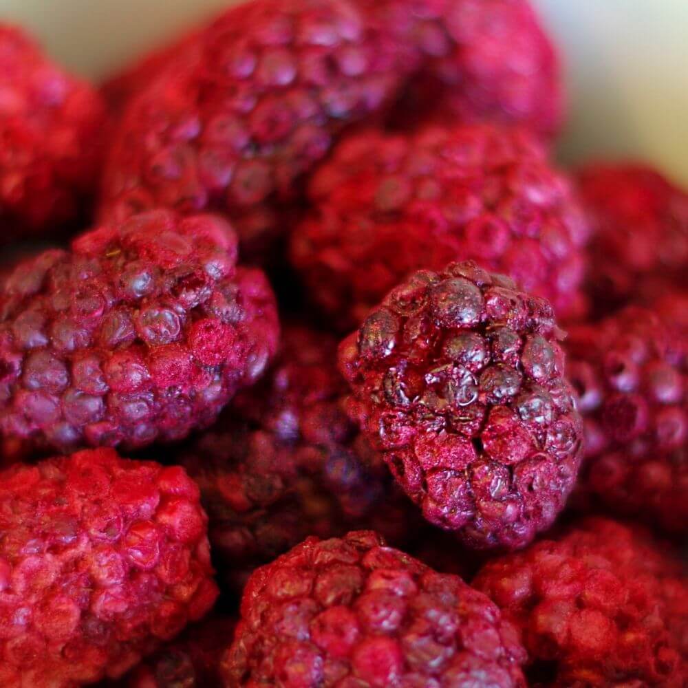 Rainy Day Foods Freeze-Dried Fruit Pack - Six #2.5 Cans - Image 6