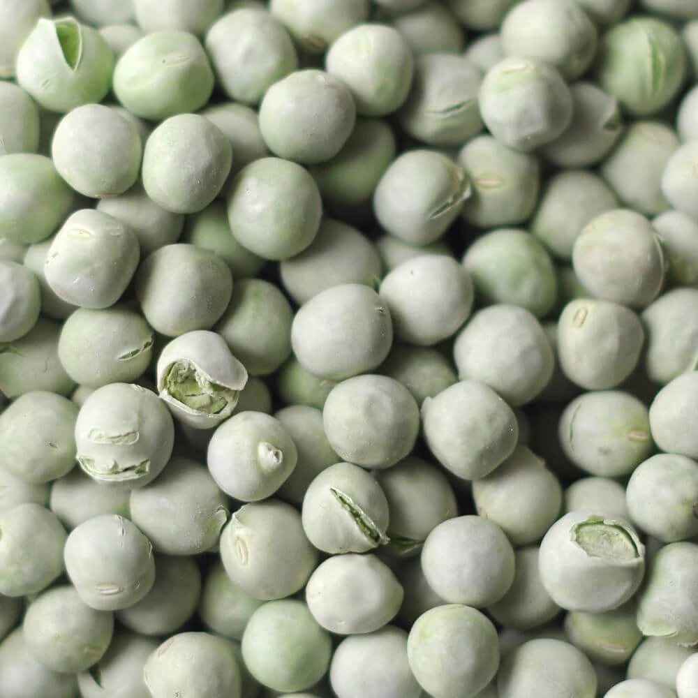 Rainy Day Foods Freeze-Dried Garden Peas 5 oz. #2.5 Can - 7 Servings - Image 3