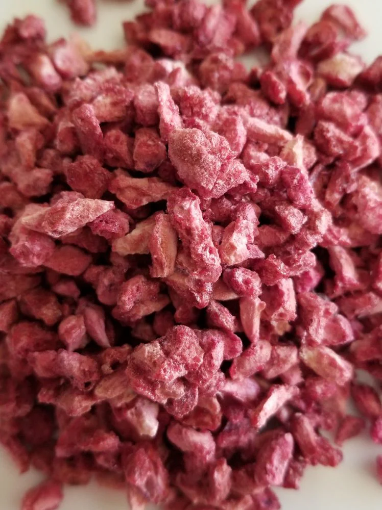 Rainy Day Foods Freeze-Dried Pomegranate Arils #2.5 Cans - 6 Pack