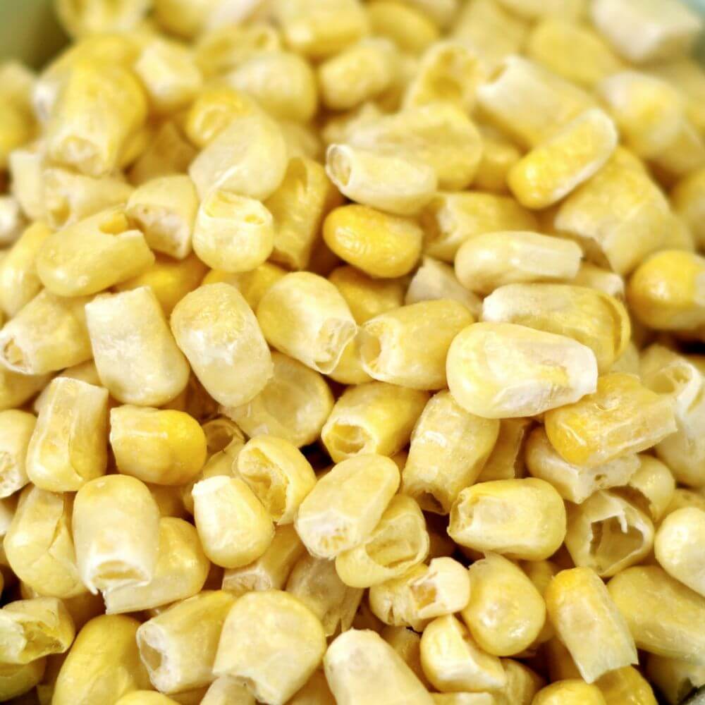 Rainy Day Foods Freeze-Dried Super Sweet Corn 4 oz. #2.5 Can - 6 Servings - Image 3