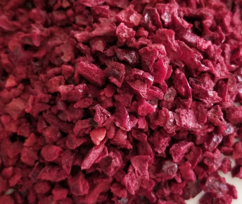Rainy Day Foods Freeze-Dried Tart Cherry Dices 22 oz. #10 Can - 36 Servings