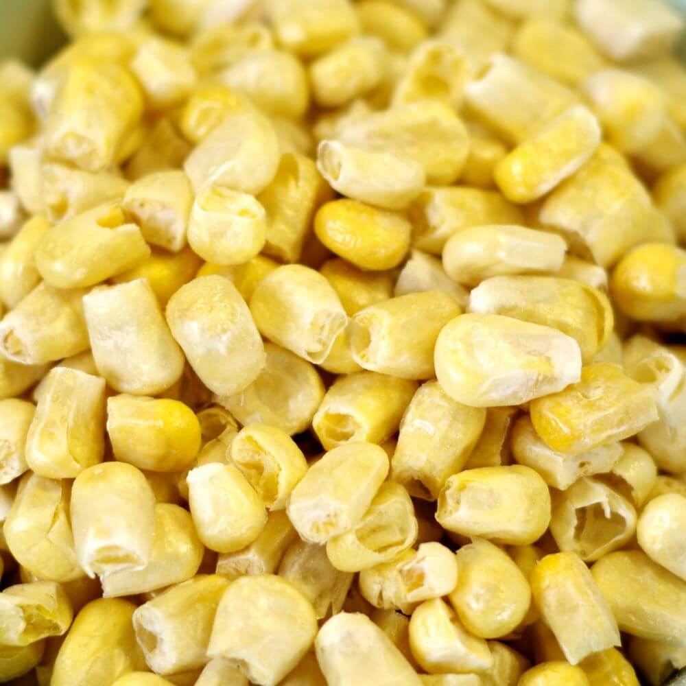 Rainy Day Foods Freeze-Dried Vegetable Pack - Image 5