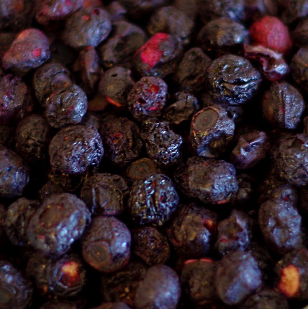 Rainy Day Foods Non-GMO Freeze-Dried Whole Blueberries #2.5 Cans - 6 Pack - Image 3