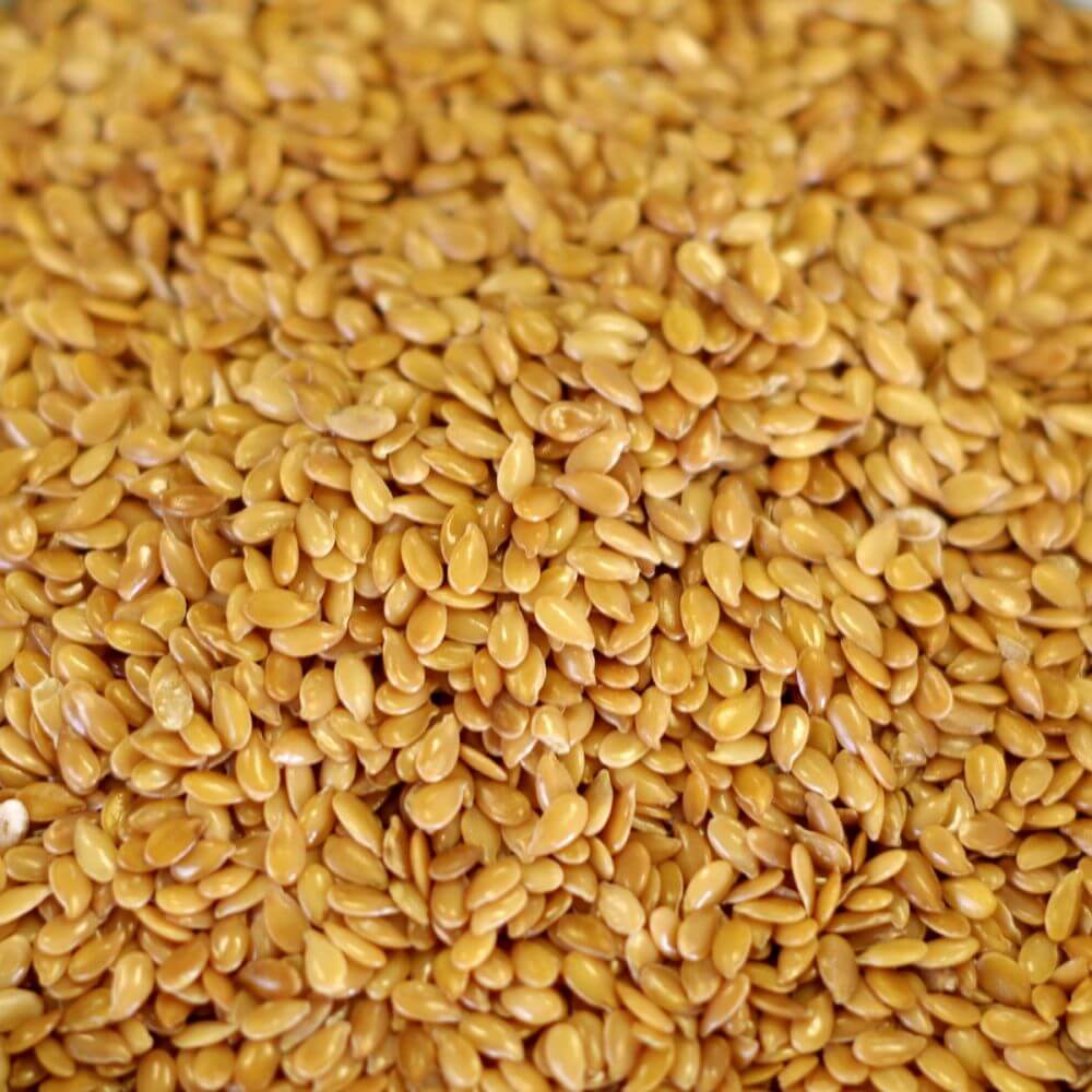 Rainy Day Foods Golden Flax Natural 25 lb. Bag - 1,134 Servings - Image 2
